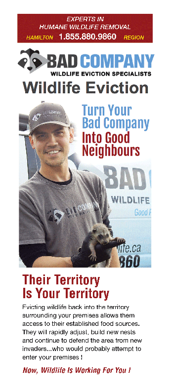 Bad Company Brochure Cover